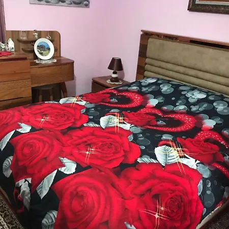 Apartment Laku - At The Heart Of *